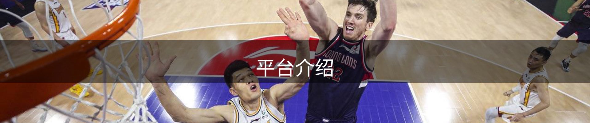 平台介绍