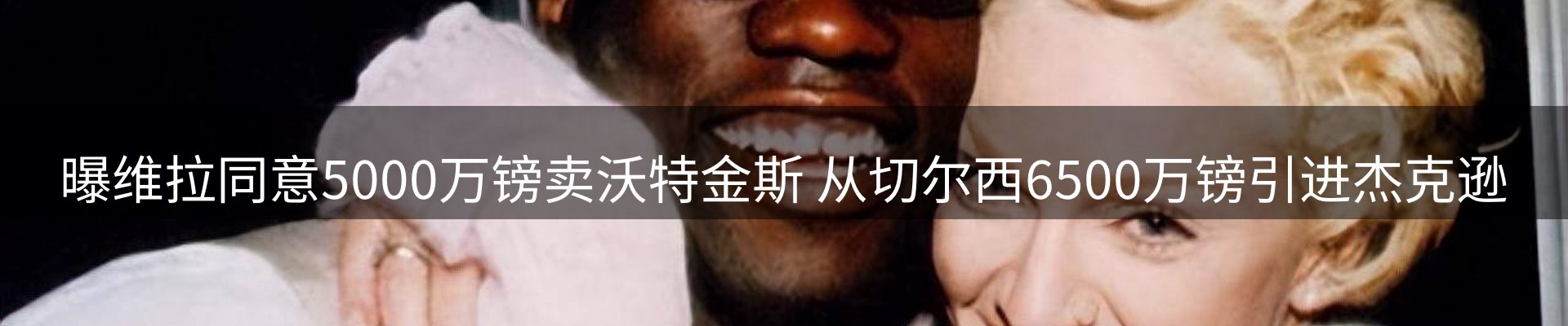 最新动态解读